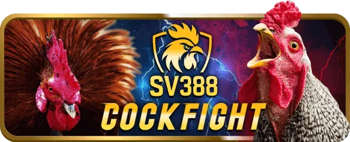 Hình ảnh minh họa các mục đích sử dụng cookie tại mb66 win để nâng cao trải nghiệm người dùng và tối ưu hóa nền tảng